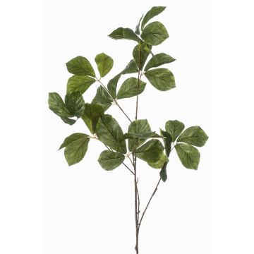 Branche décorative de châtaignier SNELOR, verte, 120 cm Branche décorative de châtaignier SNELOR, verte, 120 cm