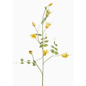 Branche décorative de clématite LENOMA, jaune, 115 cm