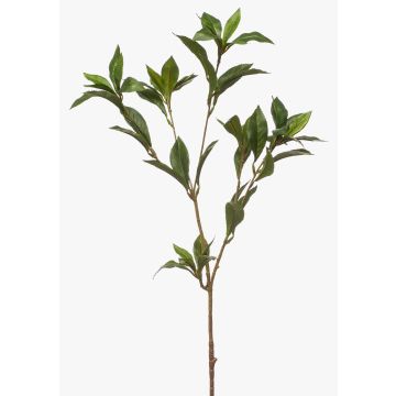 Branche décorative de laurier ITRELK, verte, 90 cm