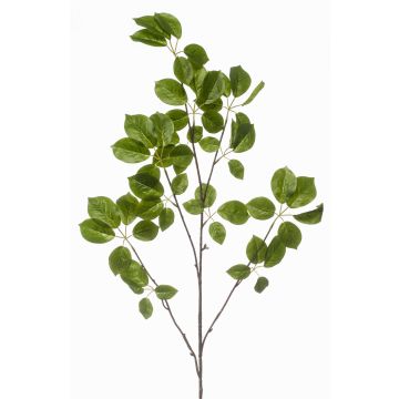 Branche décorative de schefflera KRUVEN, verte, 120 cm