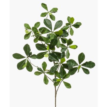 Branche artificielle de Bucida Buceras TANIESA, difficilement inflammable, 65 cm Branche artificielle de Bucida Buceras TANIESA, difficilement inflammable, 65 cm