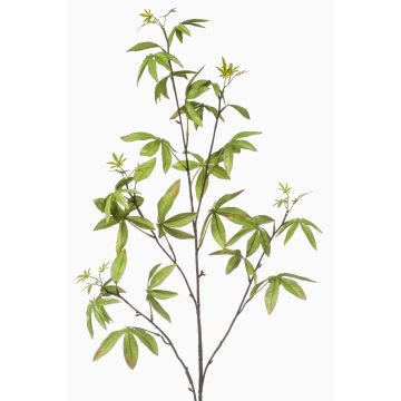 Branche décorative d'aralia MOLFER, verte, 115 cm Branche décorative d'aralia MOLFER, verte, 115 cm