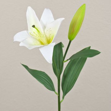 Lys tigré artificiel FILICE, blanc-vert, 50cm, Ø17cm