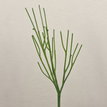 Plante artificielle Euphorbia tirucalli BENEDETTO, vert, 50cm