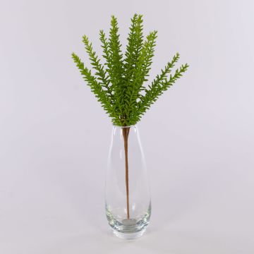 Plante artificielle Romarin ISOBEL sur piquet, vert, 35cm Plante artificielle Romarin ISOBEL sur piquet, vert, 35cm