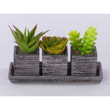 Arrangement de fausses succulentes SYLVIA, pots décoratifs, vert, 19x7,5x11cm
