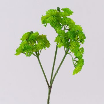 Branche de sédum artificiel JAROH, vert, 35cm