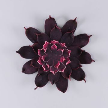 Fleur de camélia artificielle STEINKA, rose foncé, Ø30cm Fleur de camélia artificielle STEINKA, rose foncé, Ø30cm