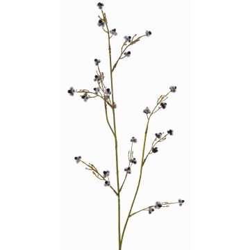 Stirlingia latifolia artificiel COLLAN, noir-blanc, 85cm
