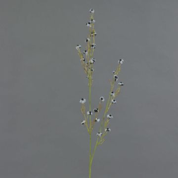 Stirlingia latifolia artificiel COLLAN, noir-blanc, 85cm