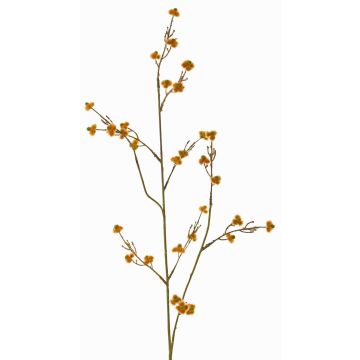 Stirlingia latifolia artificiel COLLAN, orange, 85cm Stirlingia latifolia artificiel COLLAN, orange, 85cm