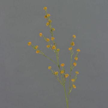 Stirlingia latifolia artificiel COLLAN, orange, 85cm