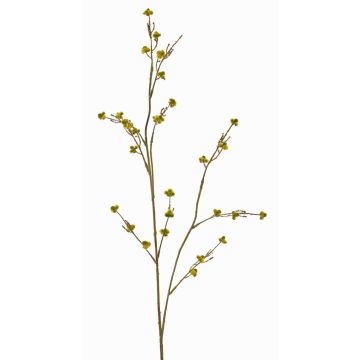 Stirlingia latifolia artificiel COLLAN, vert-jaune, 85cm Stirlingia latifolia artificiel COLLAN, vert-jaune, 85cm
