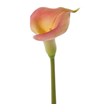 Calla artificiel MIRAC, rose-jaune, 75cm, 13x15cm Calla artificiel MIRAC, rose-jaune, 75cm, 13x15cm