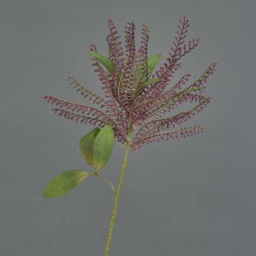 Pieris artificiel VILLADS, bordeaux, 60cm Pieris artificiel VILLADS, bordeaux, 60cm