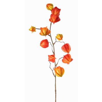 Fausse branche de physalis PERSEI avec fruits, orange, 80cm Fausse branche de physalis PERSEI avec fruits, orange, 80cm