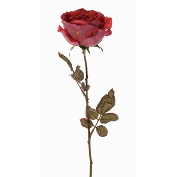 Rose artificielle NAJMA, vieux rouge-violet, 65cm, Ø10cm Rose artificielle NAJMA, vieux rouge-violet, 65cm, Ø10cm