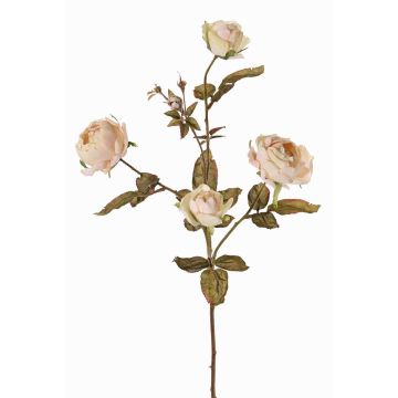 Branche de rose artificielle SITARA, crème-rose, 75cm, Ø5-8cm Branche de rose artificielle SITARA, crème-rose, 75cm, Ø5-8cm