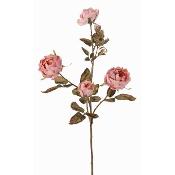Branche de rose artificielle SITARA, vieux rose, 75cm, Ø5-8cm Branche de rose artificielle SITARA, vieux rose, 75cm, Ø5-8cm