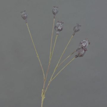 Capsules de pavot artificielles ASUMAN, brun foncé, 70cm