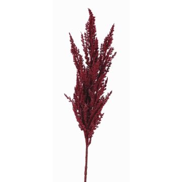 Branche artificielle Panicule de l'herbe de la pampa THEMBA, rouge bourgogne, 80cm Branche artificielle Panicule de l'herbe de la pampa THEMBA, rouge bourgogne, 80cm