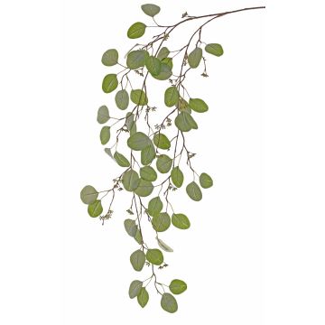 Branche d'eucalyptus artificielle MURZIM avec fruits, vert, 145cm