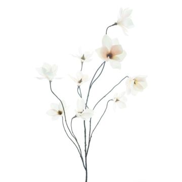 Branche artificielle Magnolia MAZANA, blanc-rose, 125cm Branche artificielle Magnolia MAZANA, blanc-rose, 125cm