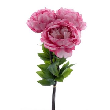 Bouquet de pivoines artificiel DUDIL, rose-fuchsia, 50cm Bouquet de pivoines artificiel DUDIL, rose-fuchsia, 50cm