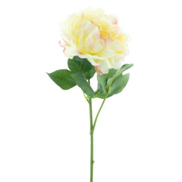 Fleur décorative Pivoine CORDOBA, jaune clair, 55cm Fleur décorative Pivoine CORDOBA, jaune clair, 55cm
