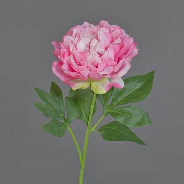 Fleur décorative Pivoine CORDOBA, rose, 55cm