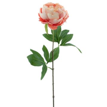Pivoine artificielle TALFY, rose-crème, 65cm Pivoine artificielle TALFY, rose-crème, 65cm