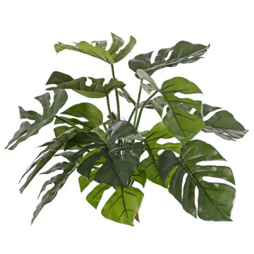 Philodendron Monstera Deliciosa artificiel NIALL, piquet, crossdoor, diff. inflammable, 45cm Philodendron Monstera Deliciosa artificiel NIALL, piquet, crossdoor, diff. inflammable, 45cm