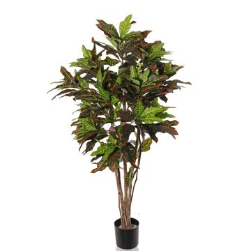 Croton artificiel SHAULA, tronc naturel, vert-rouge, 150cm