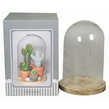 Cloche en verre SABIKA avec socle en bois marbré, transparent, 16cm, Ø12cm