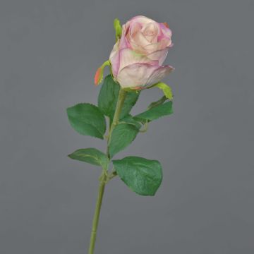 Fleur artificielle Rose KLONI, rose, 50cm
