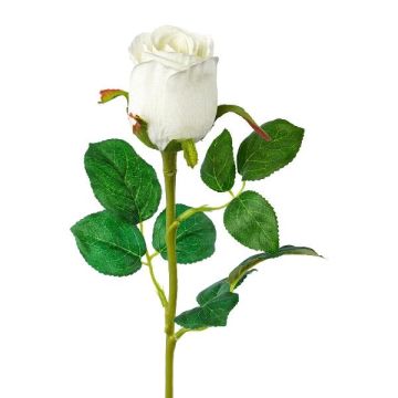 Fleur artificielle Rose KLONI, blanc, 50cm, Ø5,5cm