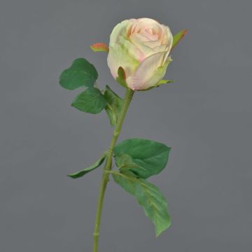Fleur artificielle Rose KLONI, vert-pêche-rose, 50cm, Ø5,5cm Fleur artificielle Rose KLONI, vert-pêche-rose, 50cm, Ø5,5cm
