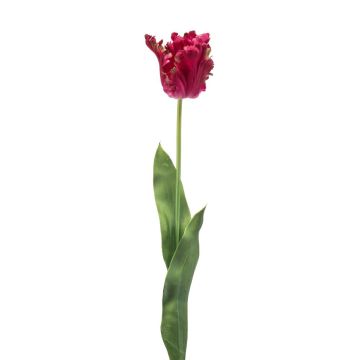 Tulipe perroquet déco LUNIA, rose vif, 70cm Tulipe perroquet déco LUNIA, rose vif, 70cm