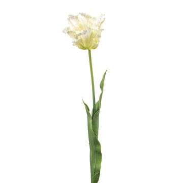 Tulipe perroquet déco LUNIA, blanc-vert, 70cm Tulipe perroquet déco LUNIA, blanc-vert, 70cm