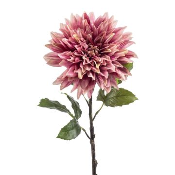Blume déco Dahlia JESKA, vieux rose, 65cm
