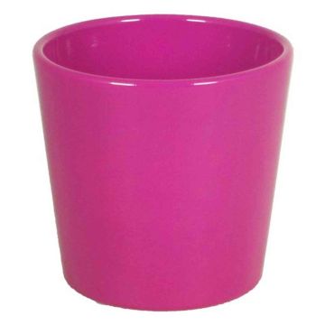 Pot en céramique pour orchidées BANEH, rose fuchsia, 12,5cm, Ø13,5cm Pot en céramique pour orchidées BANEH, rose fuchsia, 12,5cm, Ø13,5cm