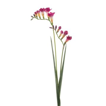 Branche artificielle Freesia SVERINA, rose vif, 80cm Branche artificielle Freesia SVERINA, rose vif, 80cm