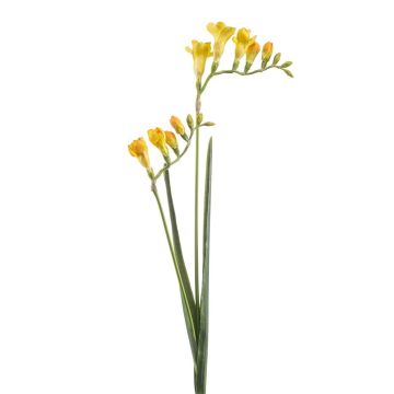 Branche artificielle Freesia SVERINA, jaune, 80cm Branche artificielle Freesia SVERINA, jaune, 80cm
