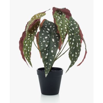Bégonia Tamaya artificiel ELISEIA, vert-blanc, 30cm