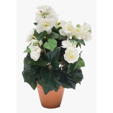Bégonia artificiel CATINKA en pot de terre cuite, crème, 30cm