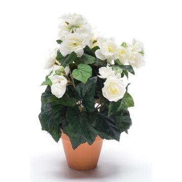 Bégonia artificiel CATINKA en pot de terre cuite, crème, 30cm Bégonia artificiel CATINKA en pot de terre cuite, crème, 30cm