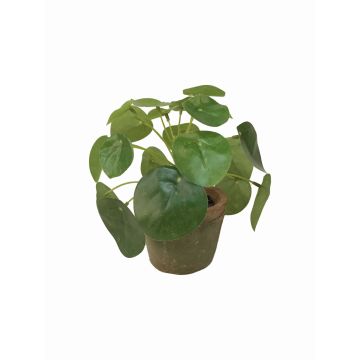 Plante à monnaie chinoise artificielle SYBIL en pot en terre cuite, vert, 13cm Plante à monnaie chinoise artificielle SYBIL en pot en terre cuite, vert, 13cm