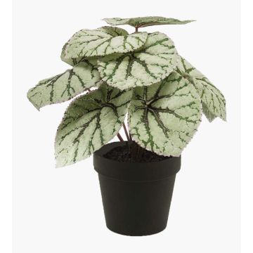 Bégonia rex artificiel MEIRA, vert-gris, 25cm