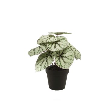 Bégonia rex artificiel MEIRA, vert-gris, 25cm