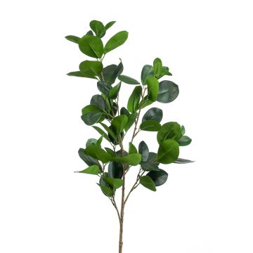 Branche de ficus Panda artificielle BANDE, vert, 90cm Branche de ficus Panda artificielle BANDE, vert, 90cm